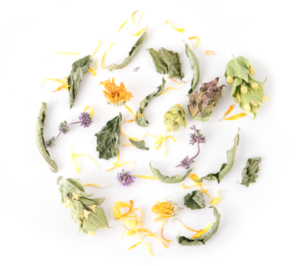 herbal tea whole leaf loose herbs greek rhoeco herbal tea whole leaf loose herbs greek rhoeco