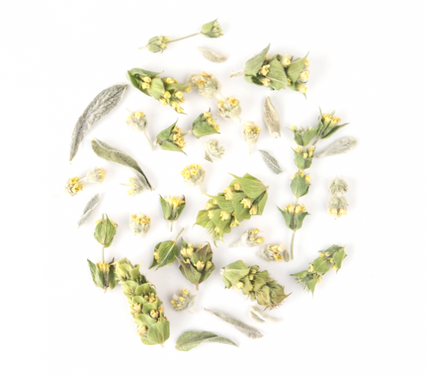 mountain tea sideritis greek loose leaf organic herbal mountain tea sideritis greek loose leaf organic herbal